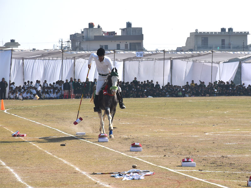 horse riding school dehradun