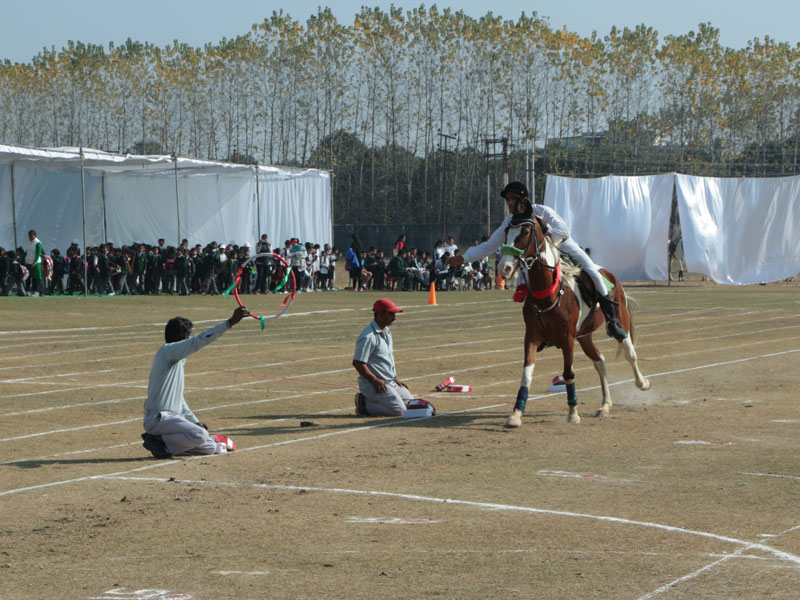 horse riding training in dehradun school